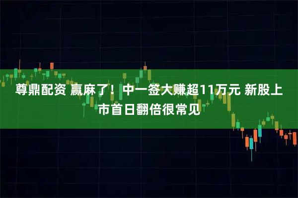 尊鼎配资 赢麻了！中一签大赚超11万元 新股上市首日翻倍很常见